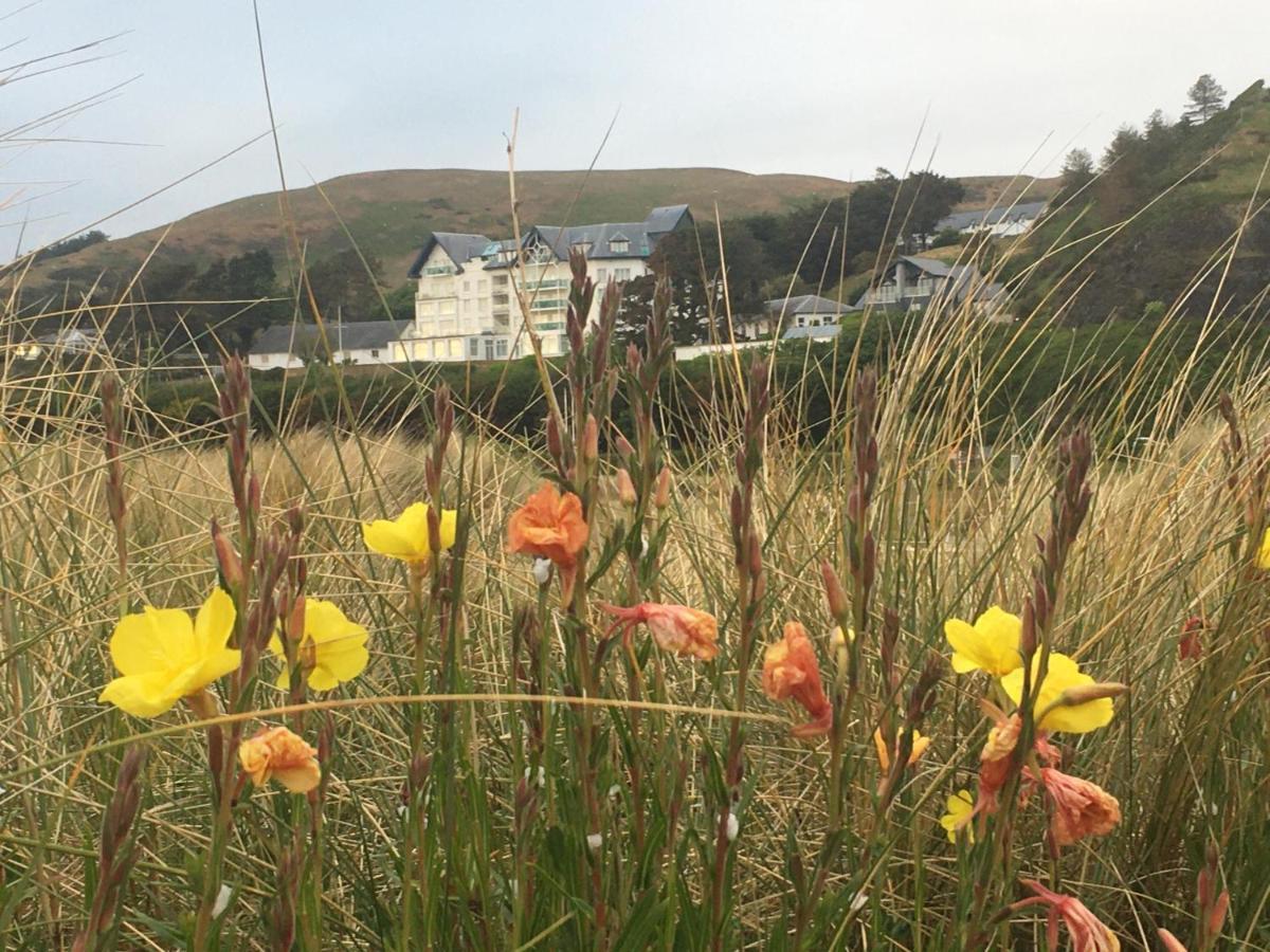 Beautiful Aberdovey Seafront Apartment 2 Aberdyfi Bagian luar foto